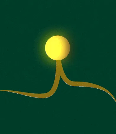 Animation showing tap root development